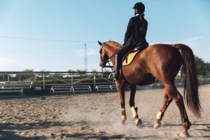 Équitation