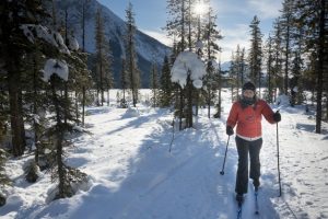 Ski de fond