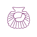 Coquille Saint-Jacques