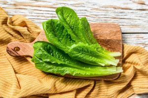 Laitue romaine