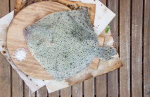 Turbot